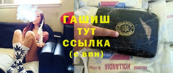 хмурый Аркадак