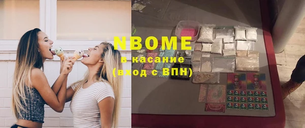 хмурый Аркадак