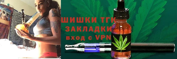 хмурый Аркадак