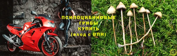 мескалин Армянск