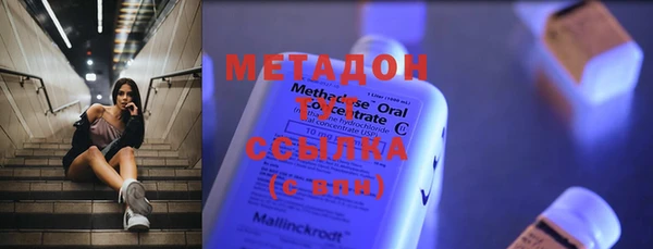 хмурый Аркадак