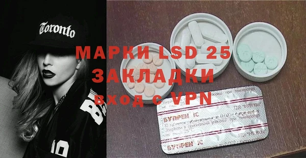 хмурый Аркадак