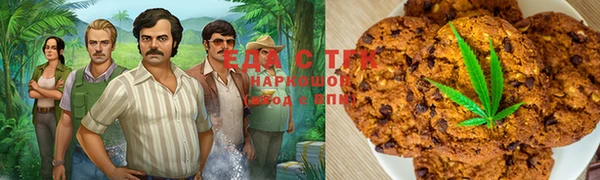 хмурый Аркадак